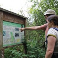 Derbyshire Wildlife Trust avatar image
